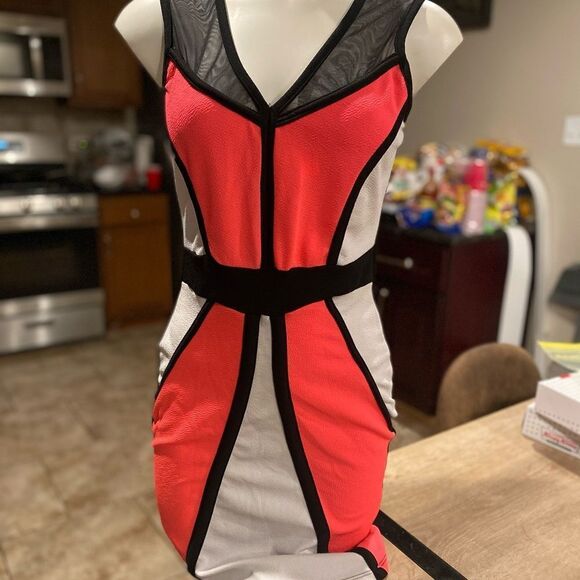 Bodycon dress - Picture 1 of 4